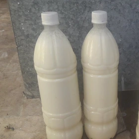 دوغ بطری کوچک
