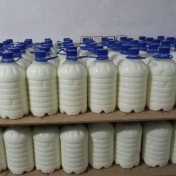 دوغ بطری بزرگ